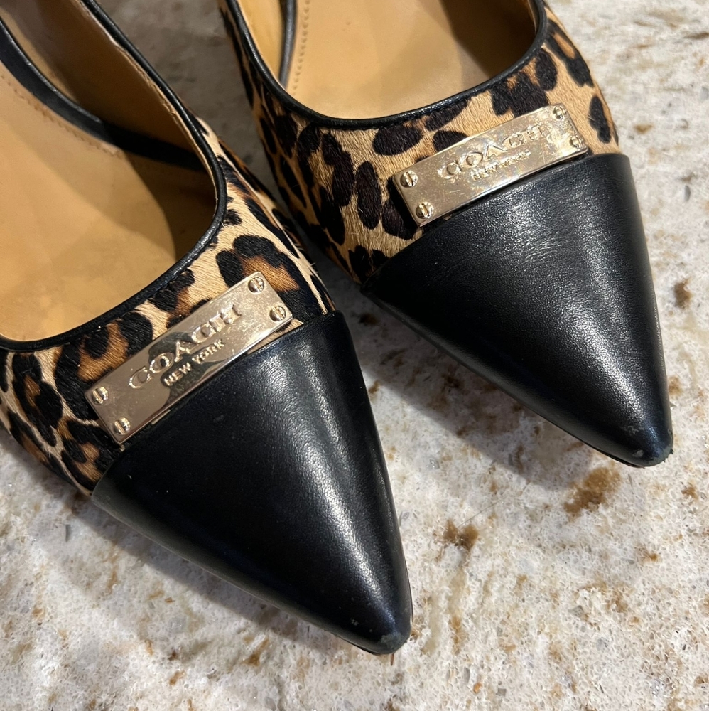 Women's Coach Zan Pointed Toe Animal Leopard Print Haircalf, Size 9.5 - Picture 6 of 8